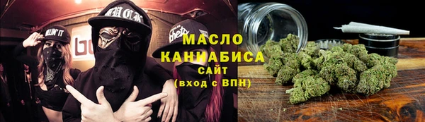 дмт Пестово