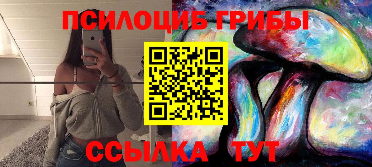 Псилоцибиновые грибы Cubensis  Апатиты 